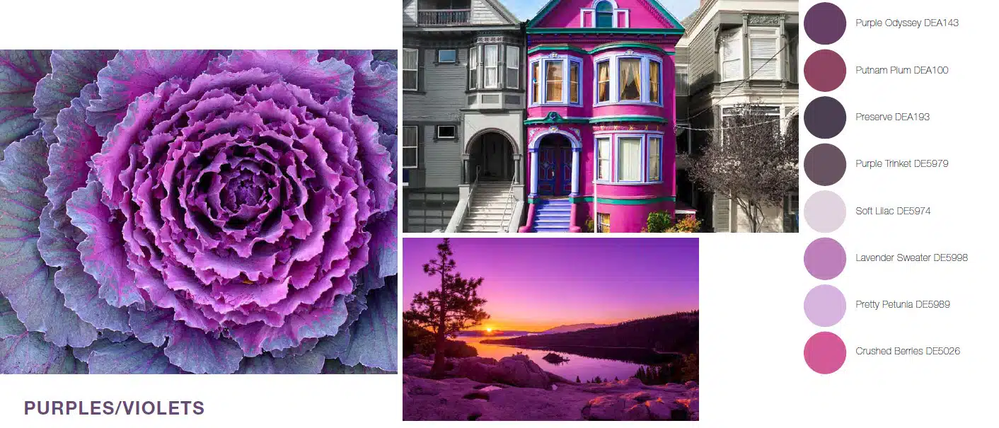 Purples A close up of a colorful building