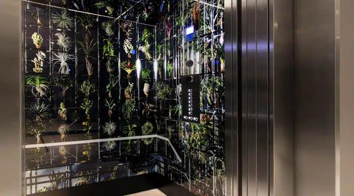RiveRoshan_Spinoza_Elevator_02_PhotoThomasFasting-720x400 Una puerta de cristal