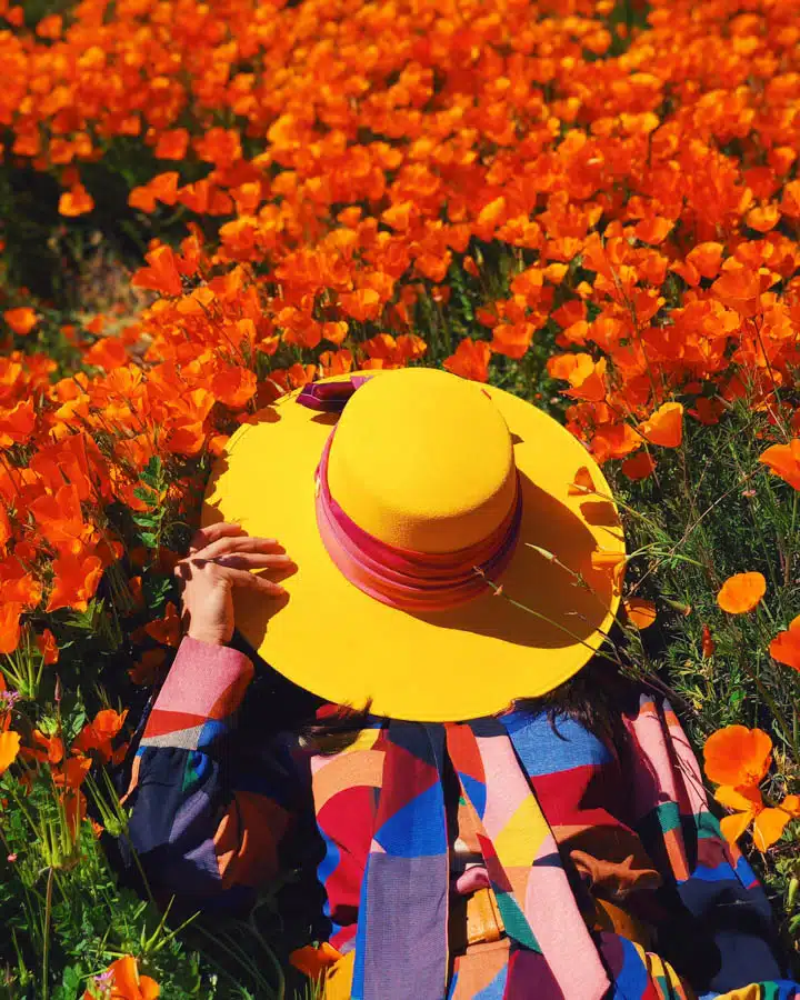 Processed with VSCO with c2 preset A close up of a flower