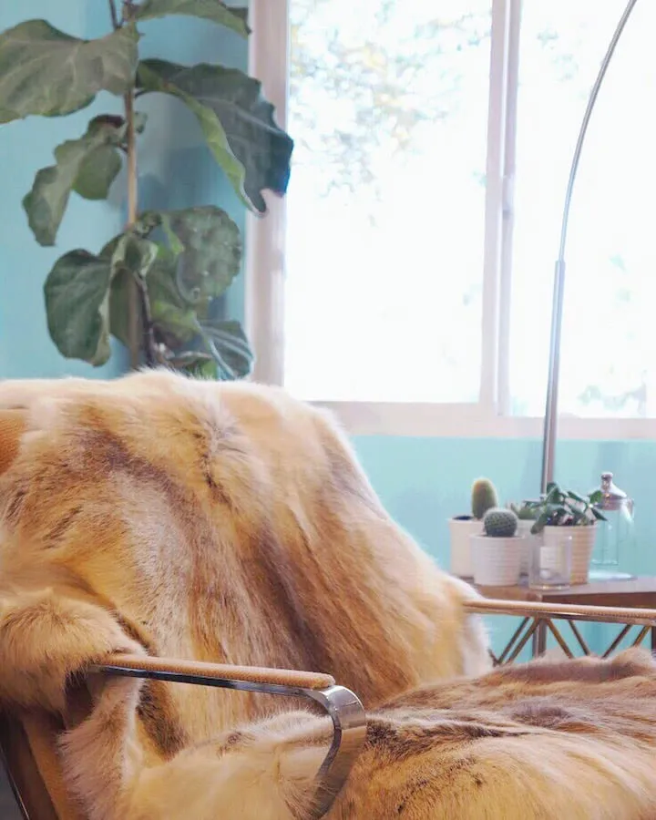 Winter-Chill-Chair A large brown horse standing next to a window