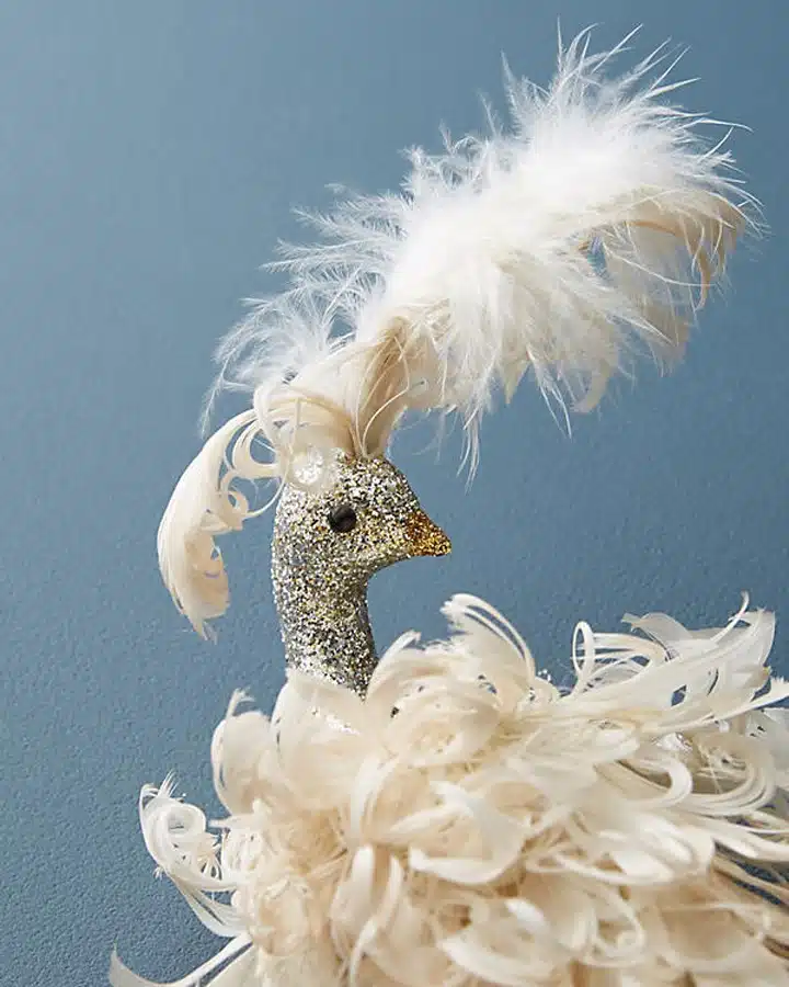 anthropologie-3 A close up of an animal