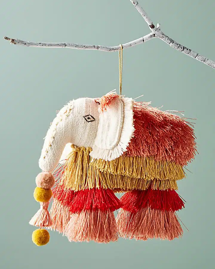 anthropologie-safari-1 A close up of an animal