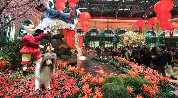 bellagio_chinese_new_year2018_2 A dog in a garden
