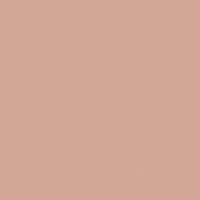 Tiffany Rose DET433 Paint Color #D2A694