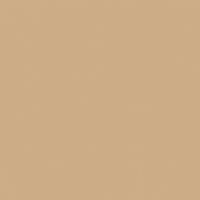 DaVanzo Beige DET664 Paint Color #CCAC86