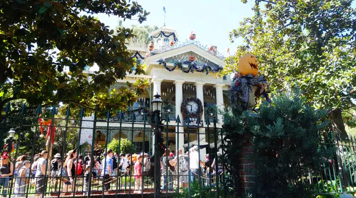 disney_2 Un grupo de personas caminando por una calle junto a un árbol
