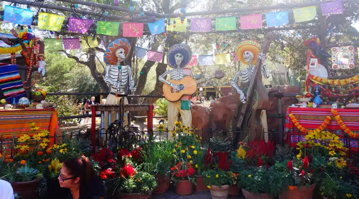 disney_3 Un grupo de flores de colores