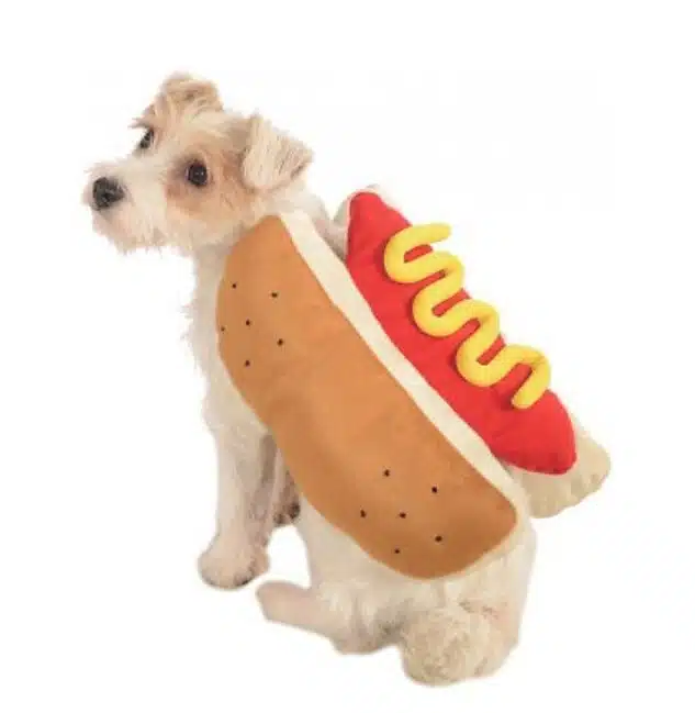 hot_Dog A dog wearing a costume