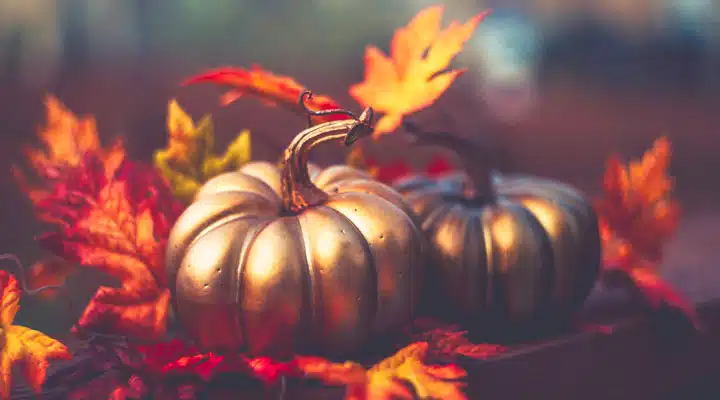 A vase of flowers on a table