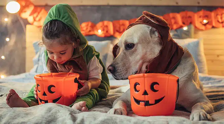 iStock-851942948-720x400 A dog sitting next to a cup of coffee