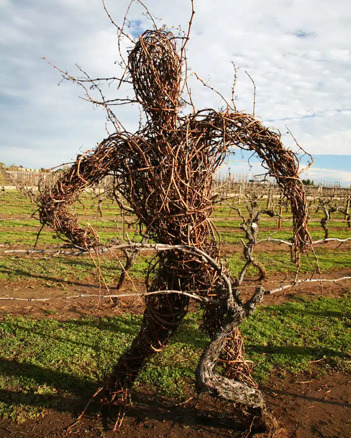 iStock_000003986894_Large Un grupo de jirafas junto a un árbol