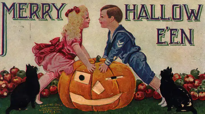 iStock_000007338571_Large Un grupo de peluches