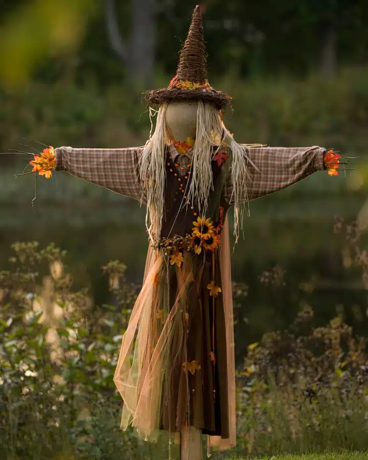 iStock_000007407003_Large Un pájaro que está en la hierba