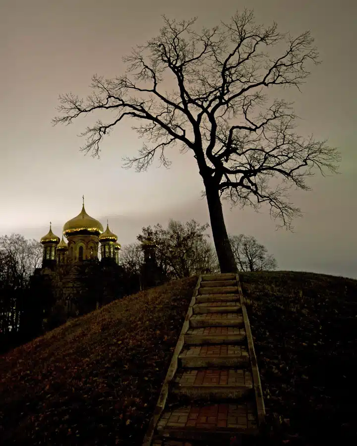 iStock_000011268950_Large Un camino con árboles en el lateral de un edificio