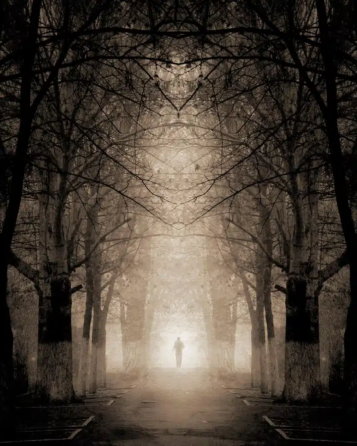 iStock_000020984140_Large Un árbol bajo la lluvia