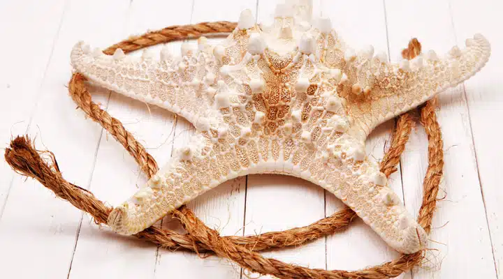 Dunn Edwards imagen 3