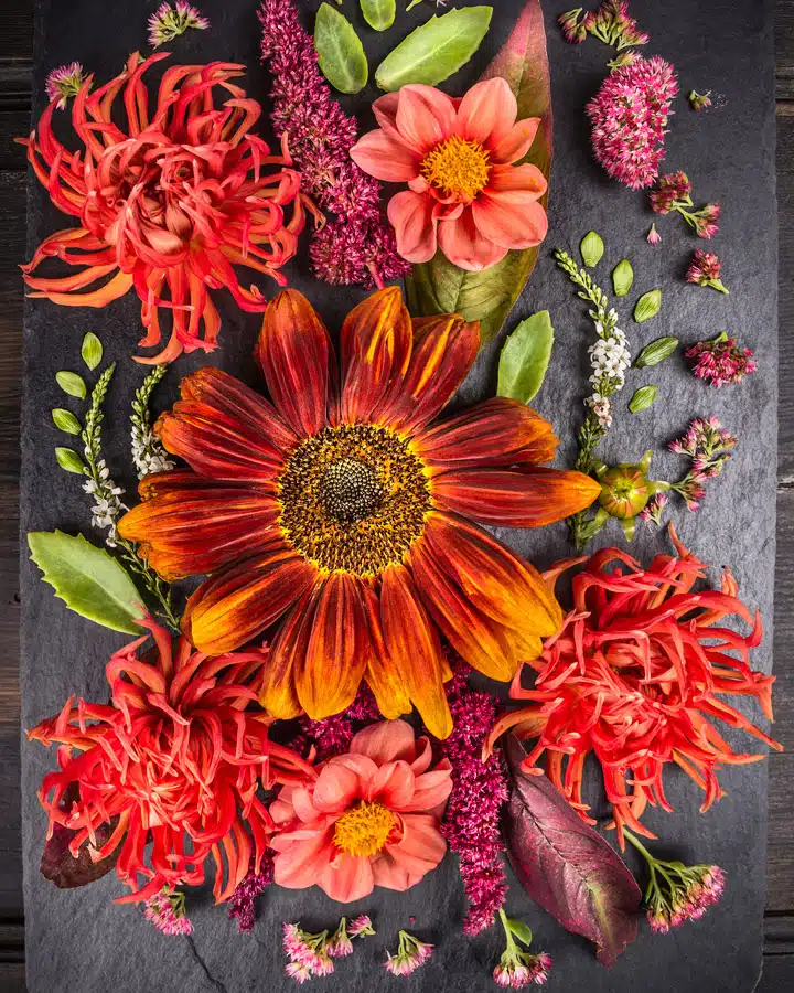 Dunn Edwards imagen 13