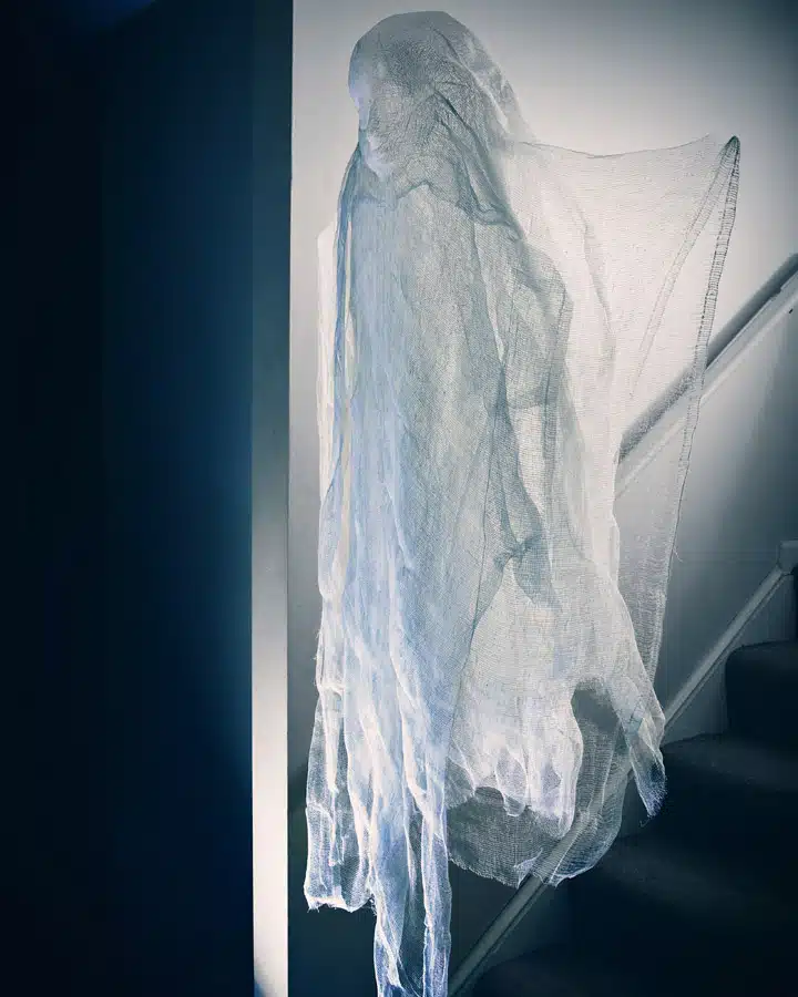 iStock_000072488521_Large Un primer plano de una ventana