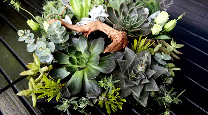 Dunn Edwards imagen 5