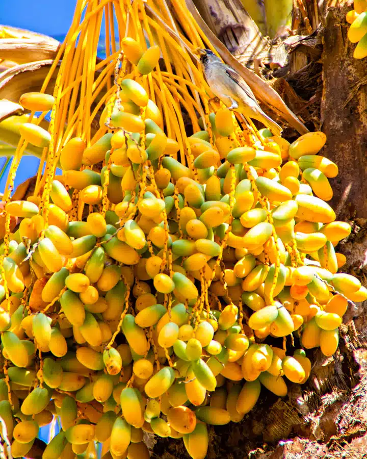 Dunn Edwards imagen 6