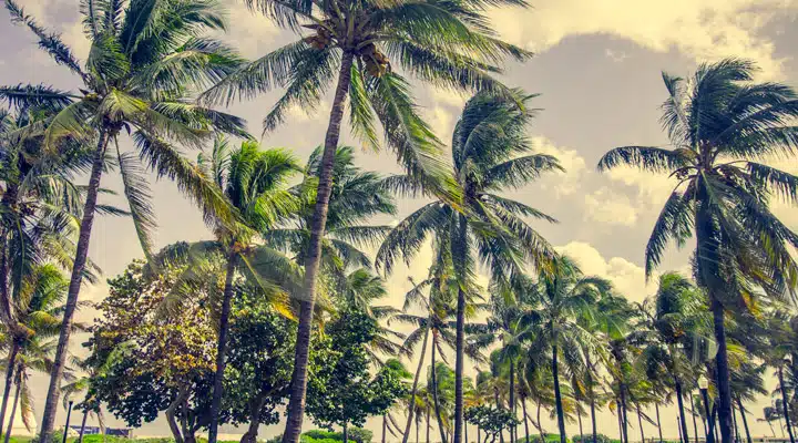 Dunn Edwards imagen 4