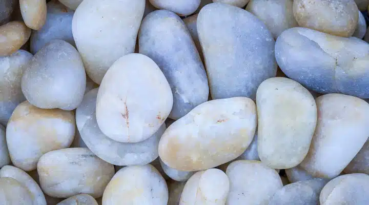 iStock_100972353_LARGE A pile of food