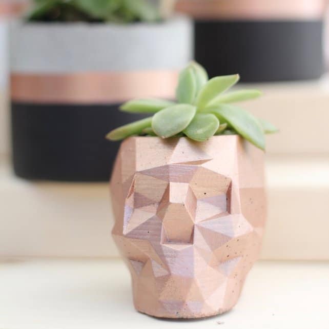 A vase sitting on top of a green plant