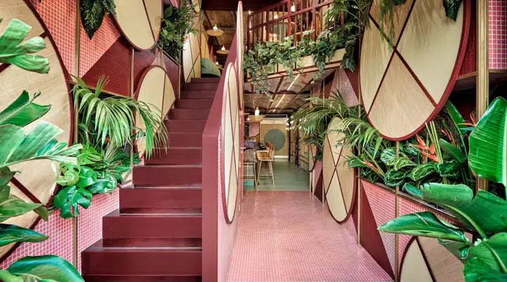 Una planta verde en un jardín