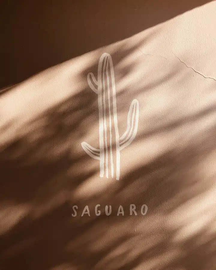 Processed with VSCO with a4 preset A close up of a blur