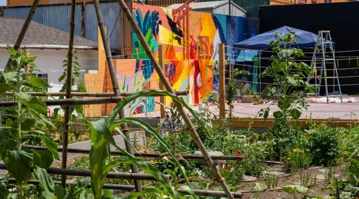 _littlecityfarmla-720x400 A colorful umbrella