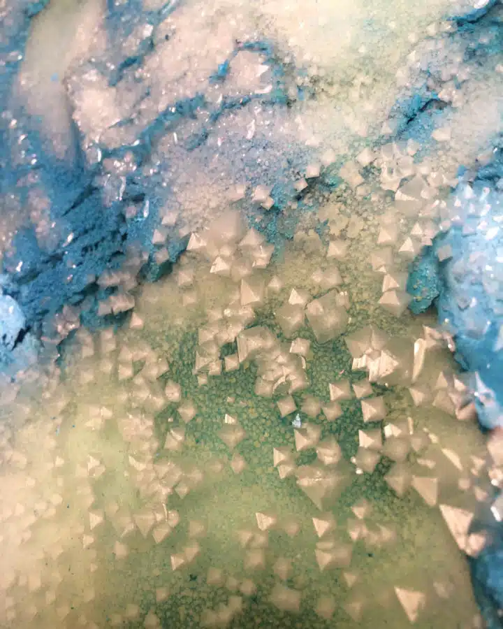 renae_barnard_studio__15_-720x900 A bowl of water