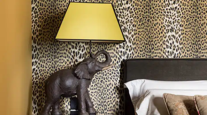 velona_jungle_hotel_centro_parcheggio_lusso A cat sitting on a chair