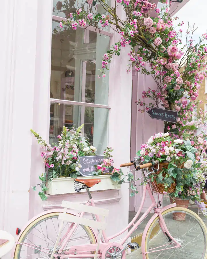 AdobeStock_167261857-720x900 A pink flower with a bicycle in front of a window
