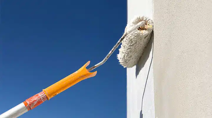 iStock-1214149737-720x400 A close up of a bird