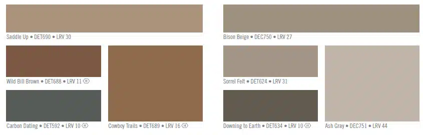 Desert_Modern_color_scheme_set_3.jpg