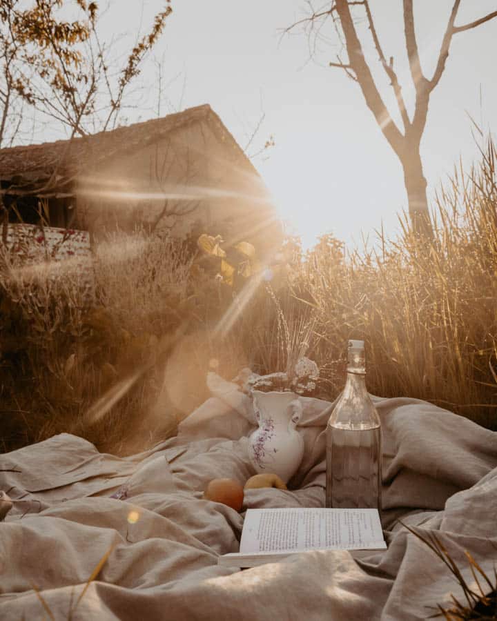 camille-brodard-lQuVopCowyc-unsplash-720x900.jpg