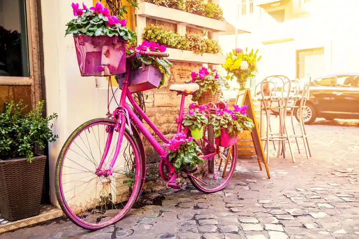 iStock-1276428639_magenta_bike_planter.jpg