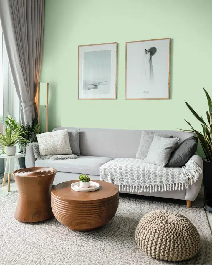 A living room with a green blanket