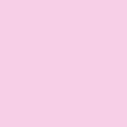 Pink Lily Color de pintura DE5008