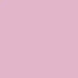 Muddy Mauve Paint Color DE5016