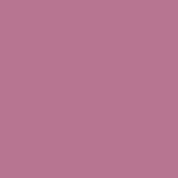 First Plum Paint Color DE5018