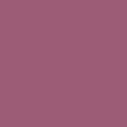 Rosewine Paint Color DE5019