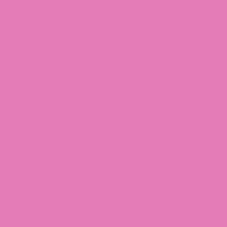Fuchsia Blush Paint Color DE5025