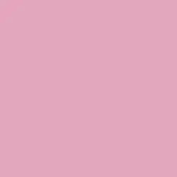Think Pink Paint Color DE5031