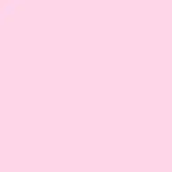 Ballerina Paint Color DE5036