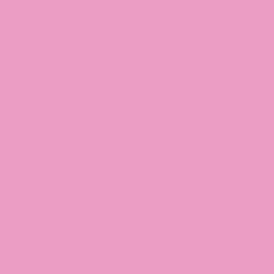 Be My Valentine Paint Color DE5038