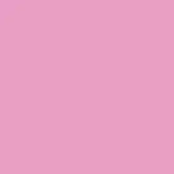 Be My Valentine Paint Color DE5038