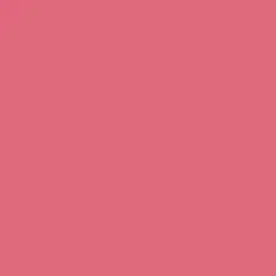 Slice of Watermelon Paint Color DE5068