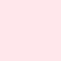 Nosegay Paint Color DE5070