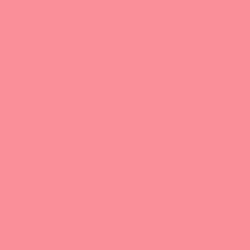 Strawberry Shortcake Paint Color DE5081